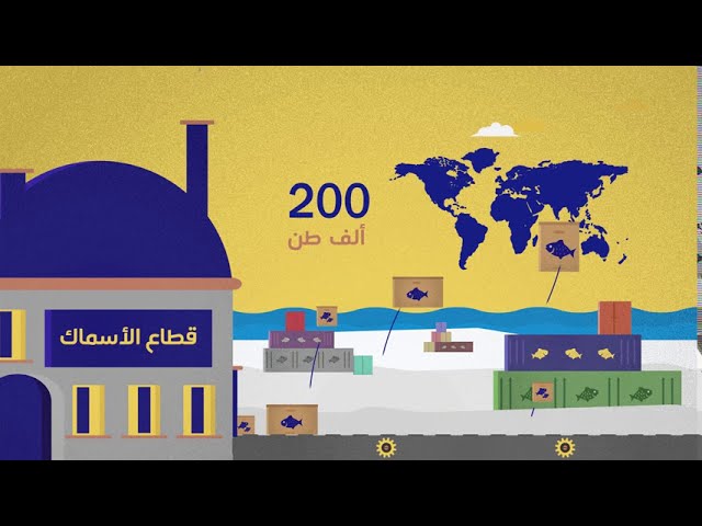 Developing Yemen’s Fishing Industry